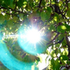 Image for article titled Shooting Challenge: Lens Flare Gallery Part Two
